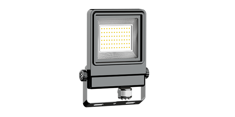 VENUS LED Flood Light